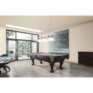 Table de billard Canadiana